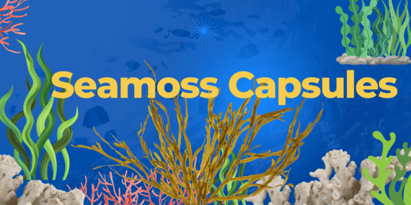 Seamoss Capsules